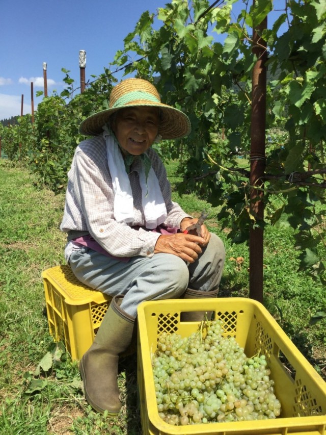 新酒ワイン