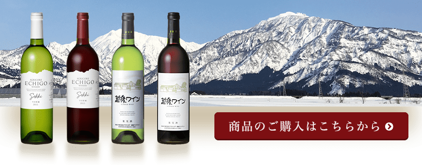 ワインラインナップ