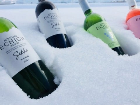 越後ワイン雪季